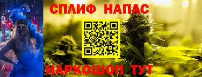 Альфа ПВП Нальчик