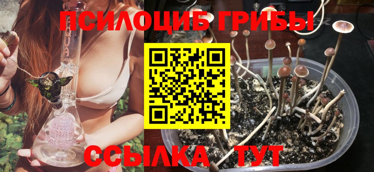 Усинск  Галлюциногенные грибы Cubensis  Вход с VPN 